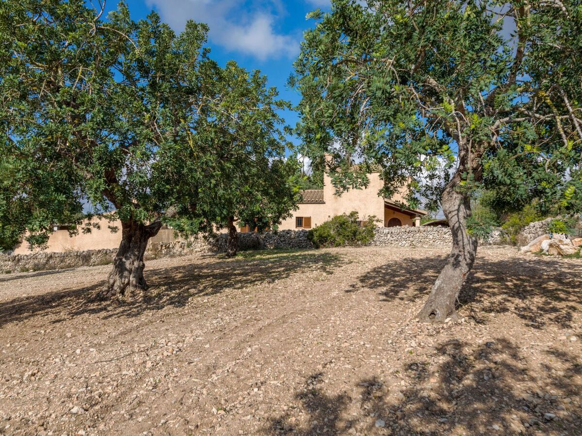 Finca Fontanet Binifarda - Maison 6 pers. piscine - Photo 8