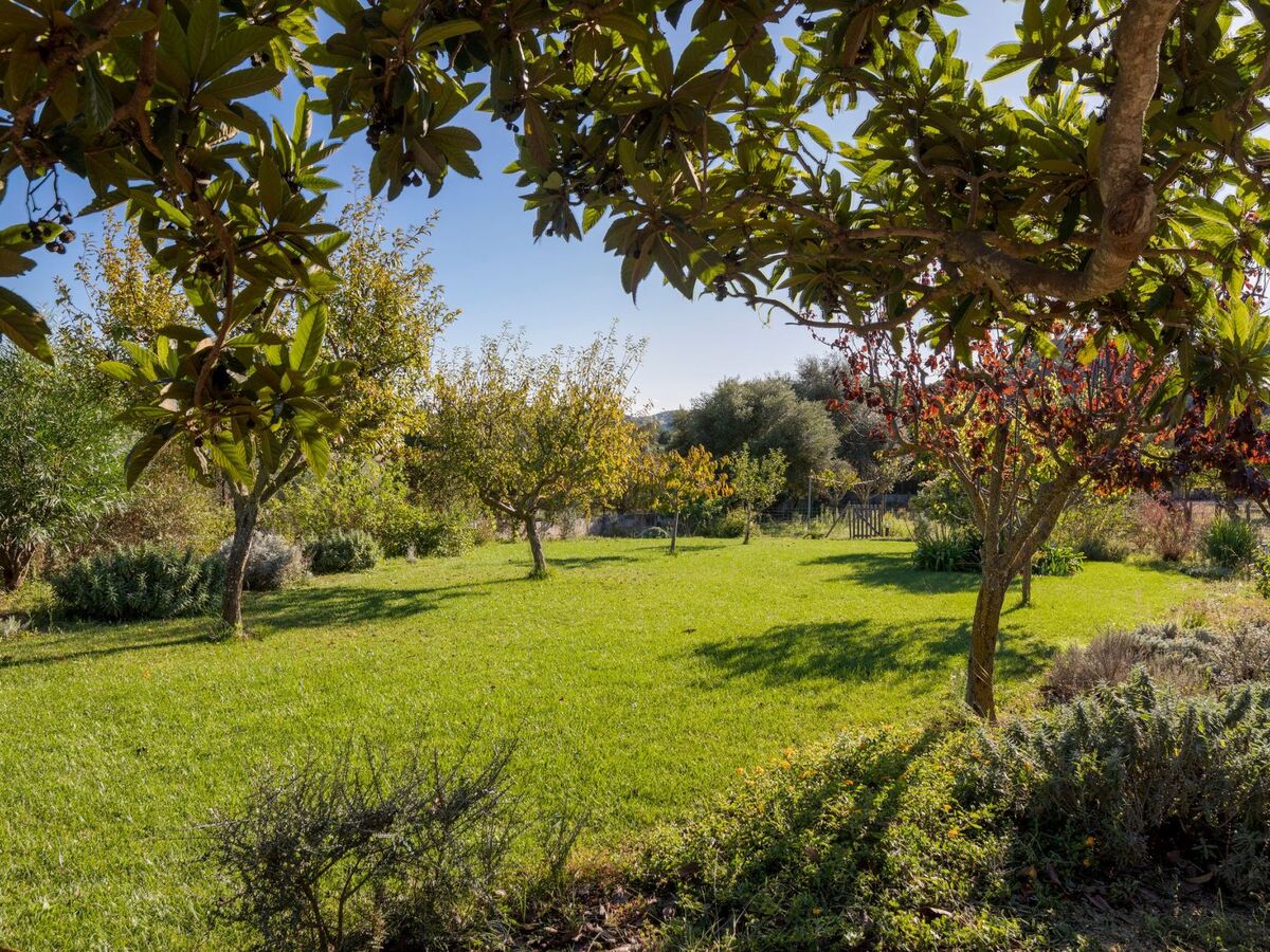 Finca Fontanet Binifarda - Maison 6 pers. piscine - Photo 32