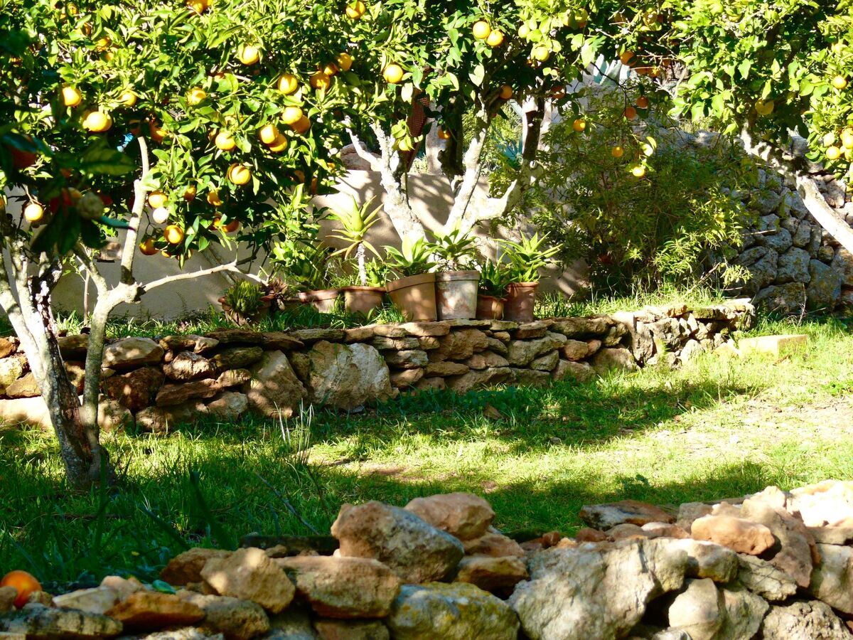Ca'n Tian, finca en pierre avec piscine à Manacor - Photo 28