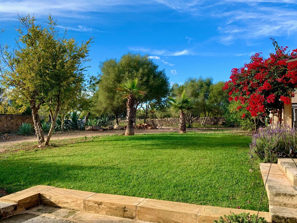 Ca'n Tian, finca en pierre avec piscine à Manacor - Photo 29