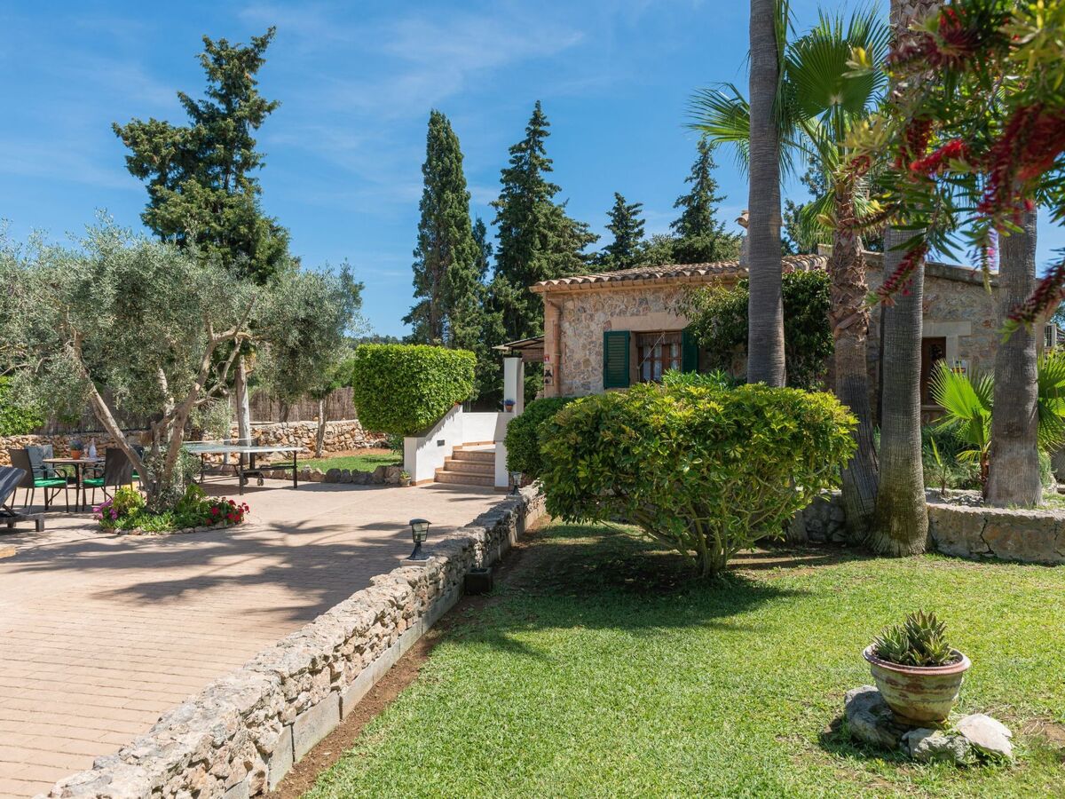 Maison rustique majorquine avec piscine, 2 km plage - Photo 19