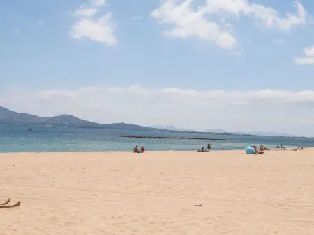 Maison Hibiscus à 50 m de la plage de Pollença - Photo 11