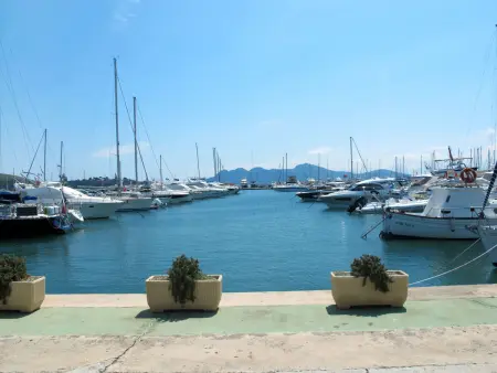 Maison Hibiscus à 50 m de la plage de Pollença - Photo 19
