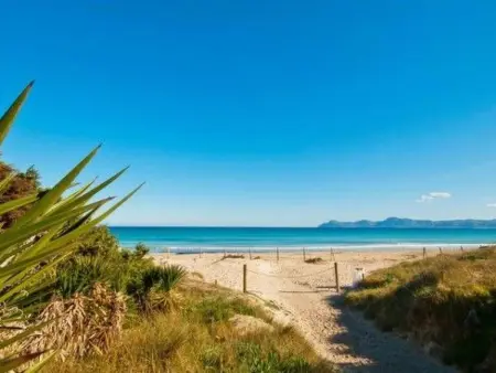 Maison Hibiscus à 50 m de la plage de Pollença - Photo 26
