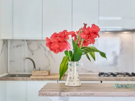 Maison Hibiscus à 50 m de la plage de Pollença - Photo 39