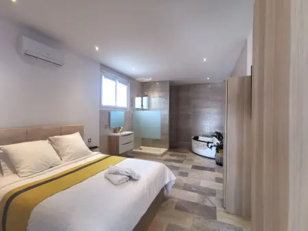 Maison 1 chambre avec jacuzzi à Saint Martin de Seignanx : photo 7
