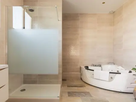 Maison 1 chambre avec jacuzzi à Saint Martin de Seignanx : photo 11