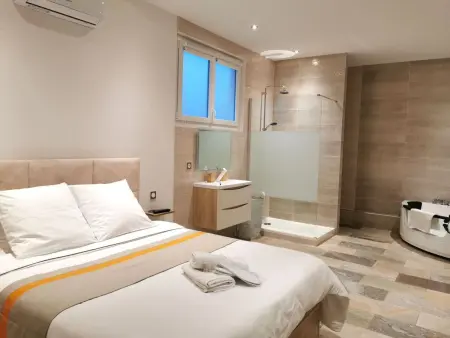 Maison 1 chambre avec jacuzzi à Saint Martin de Seignanx : photo 12