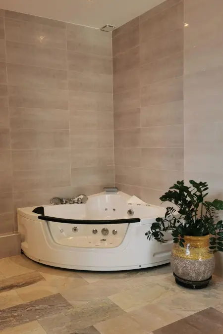 Maison 1 chambre avec jacuzzi à Saint Martin de Seignanx : photo 16