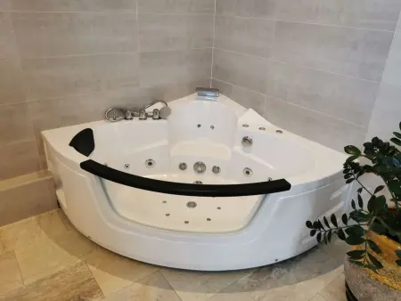Maison 1 chambre avec jacuzzi à Saint Martin de Seignanx : photo 17