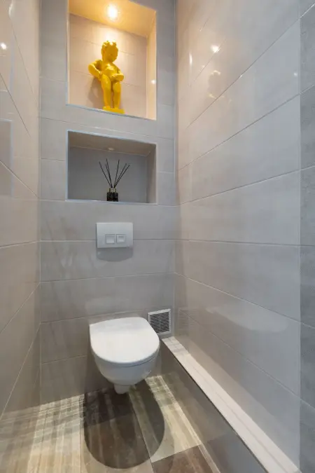 Maison 1 chambre avec jacuzzi à Saint Martin de Seignanx : photo 18