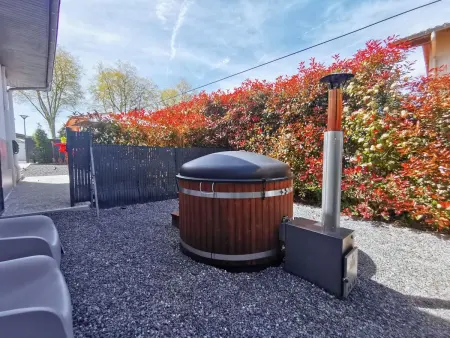 Maison 1 chambre avec jacuzzi à Saint Martin de Seignanx : photo 28