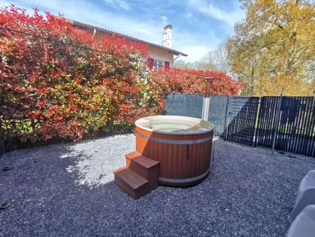 Maison 1 chambre avec jacuzzi à Saint Martin de Seignanx : photo 29