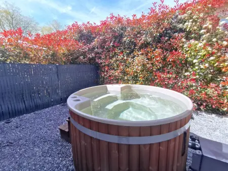 Maison 1 chambre avec jacuzzi à Saint Martin de Seignanx : photo 30