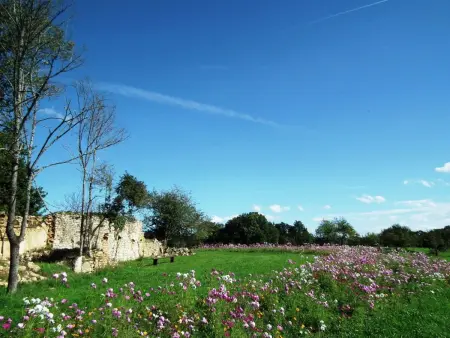Villa jumelée 6-8 pers. Gavaudun - Périgord : photo 29