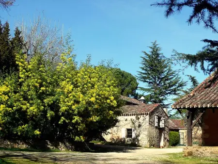 Gîte La Bergerie - Maison 11 pers. à Gavaudun : photo 10