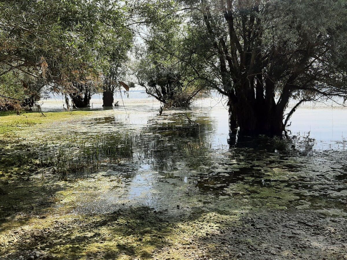 Maison à colombages 6 pers. près du Lac du Der - Photo 19