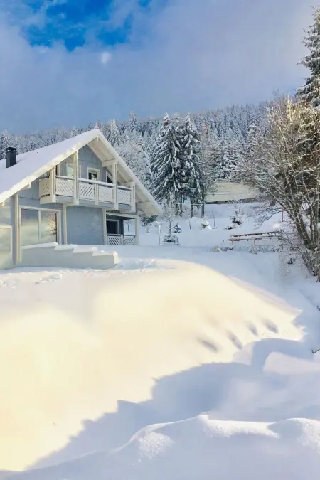 Chalet Le Flocon Bleu – 9 pers, sauna, vue lac : photo 41