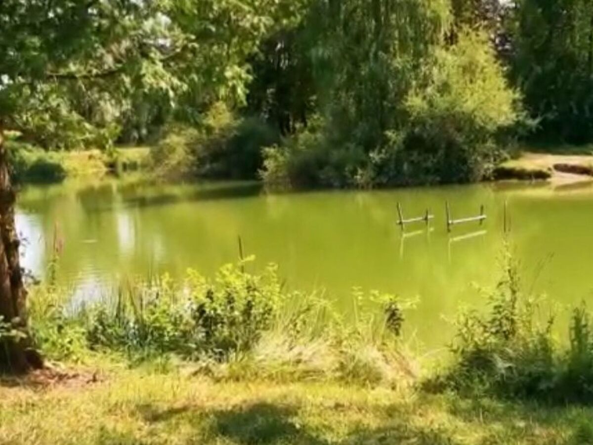 Smart Home Venezia : mobil-home 2 ch. à Boofzheim - Photo 14