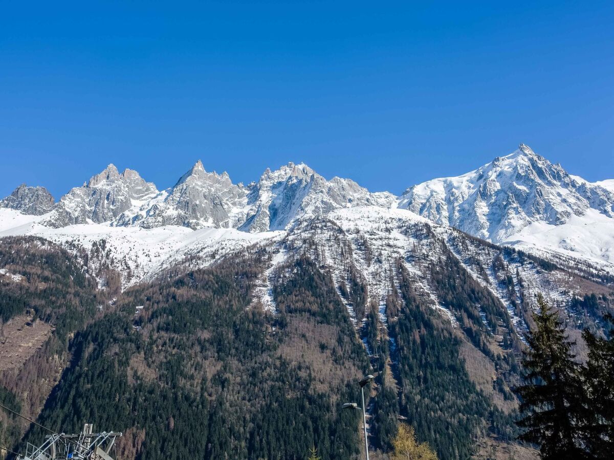 Appartement 1 chambre au cœur de Chamonix, vue Mont Blanc - Photo 12