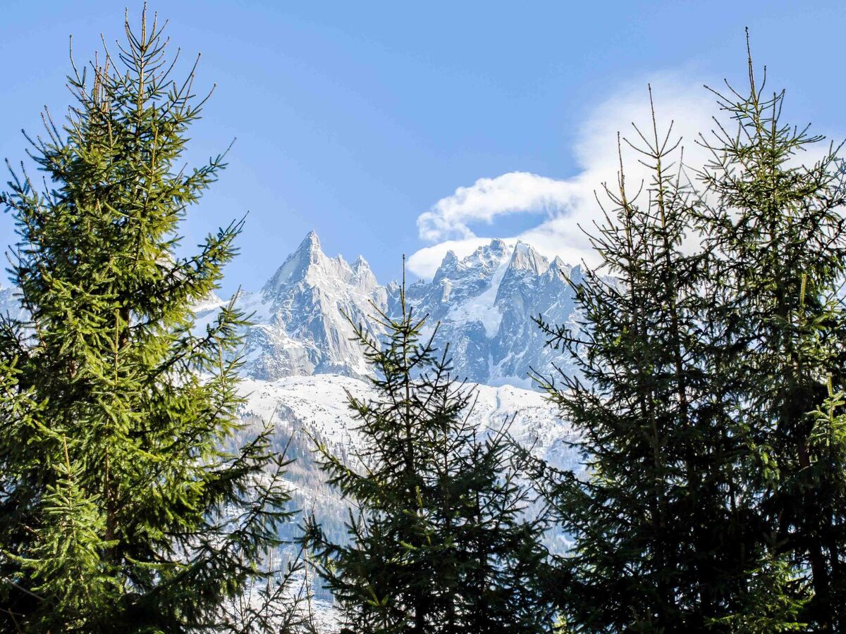 Chalet La Source, 4 chambres avec jacuzzi face à Mont Blanc - Photo 24