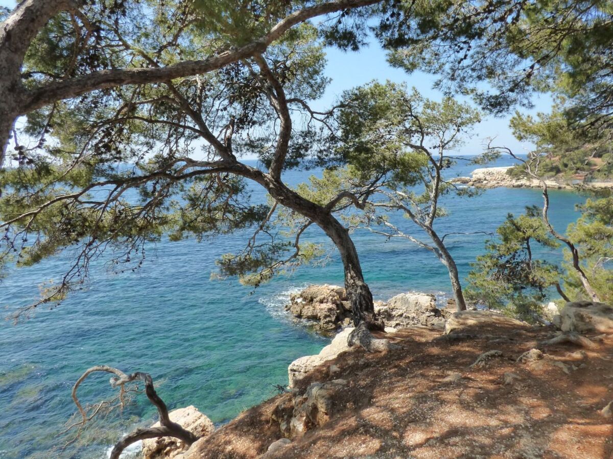 Appartement Bastide de l'Olivaie, plage à 50m à Bandol - Photo 17