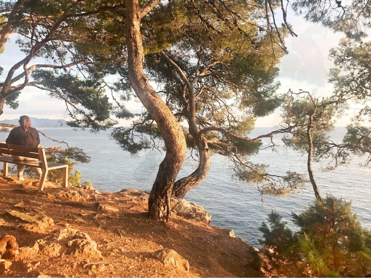 La Bastide de l'Olivaie, appartement 50m de la plage - Photo 24