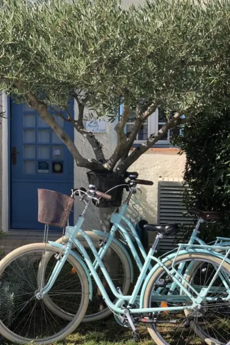 Gemütliches Ferienhaus in Grimaud mit Terrasse, Garten und Grill - Photo 45
