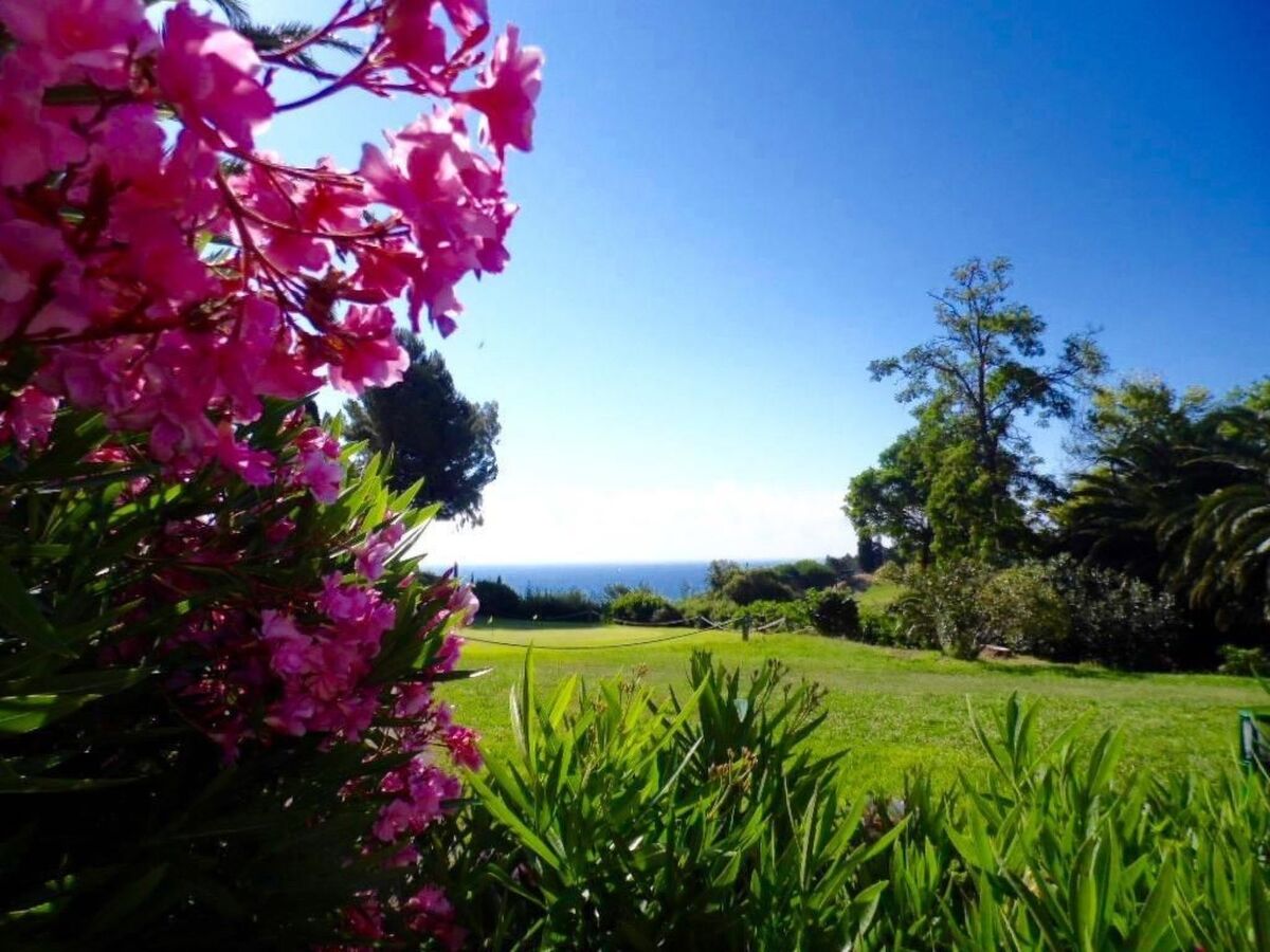 Appartement 5 pers. Cap Esterel, parc 210 ha - Photo 4
