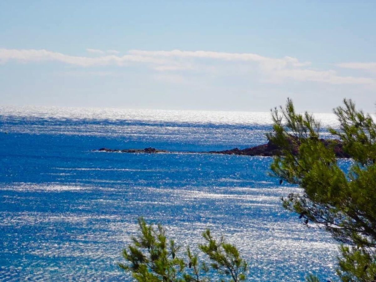 Appartement 5 pers. Cap Esterel, parc 210 ha - Photo 26