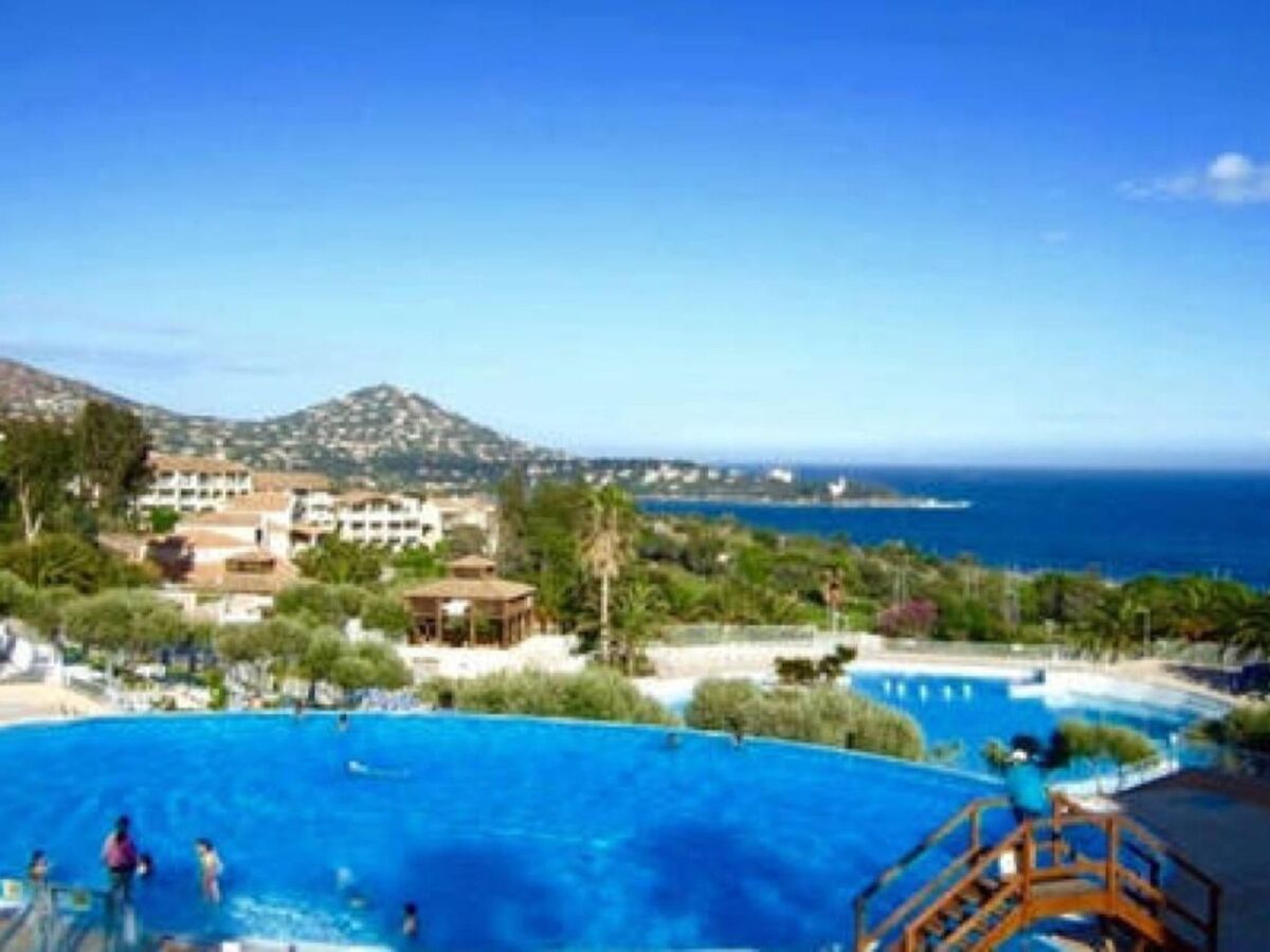 Appartement 5 pers. Cap Esterel, parc 210 ha - Photo 31