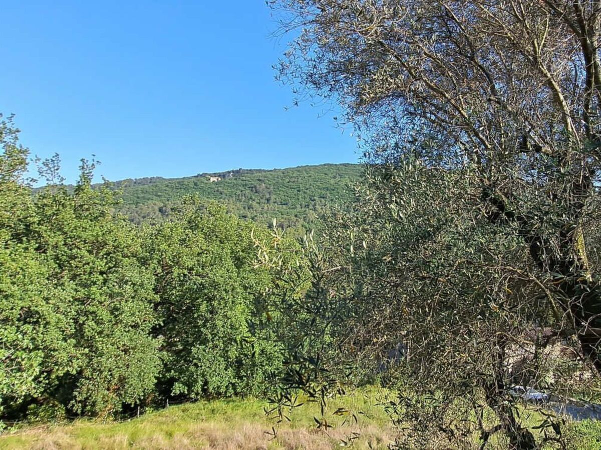 Maison du Paysan à Cipières, 70m² sud - Photo 17