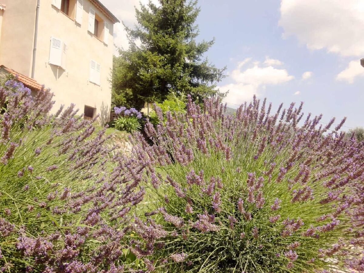Appartement 3 chambres avec jardin à Cipières - Photo 36