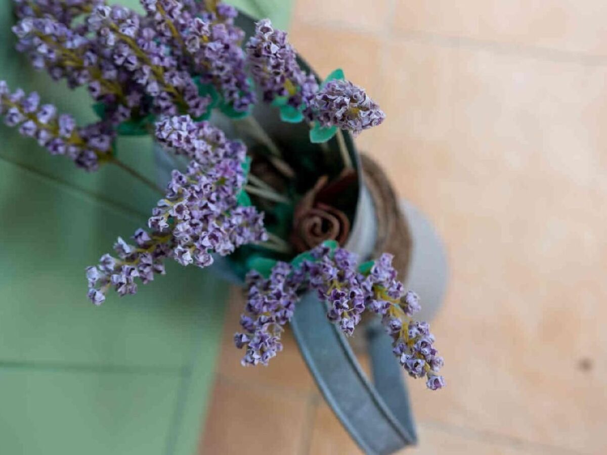 La Pascaline, 4★ avec jardin sud à Cipières - Photo 14
