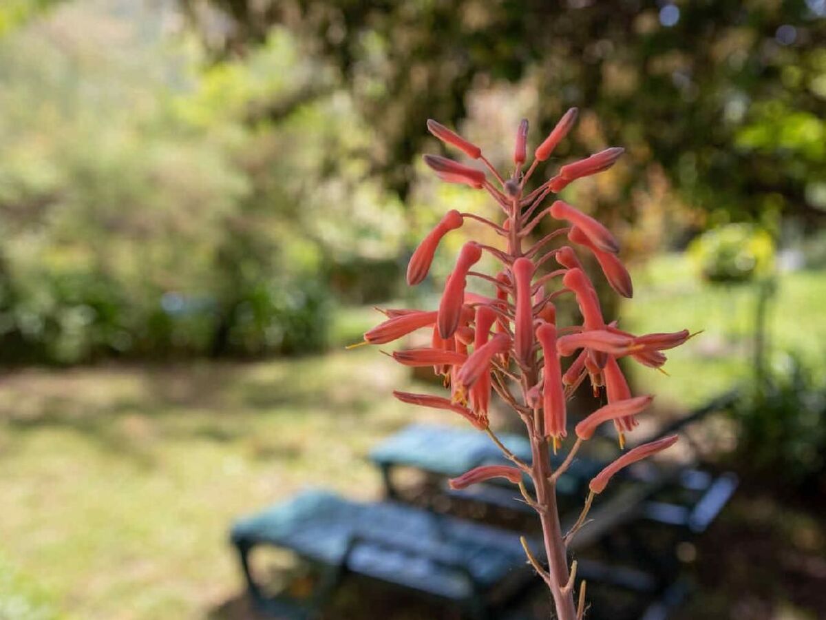 La Pascaline, 4★ avec jardin sud à Cipières - Photo 15