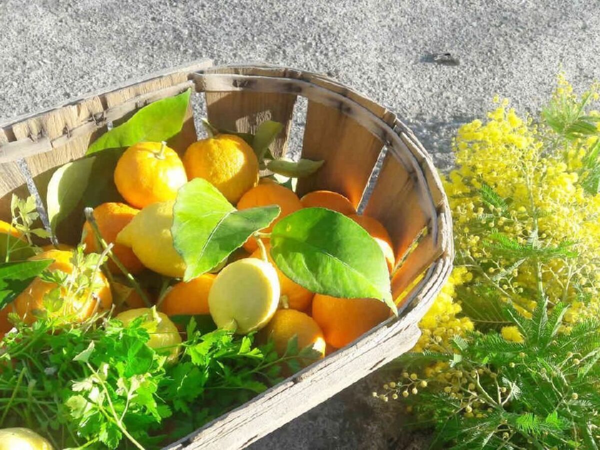 La Pascaline, 4★ avec jardin sud à Cipières - Photo 25
