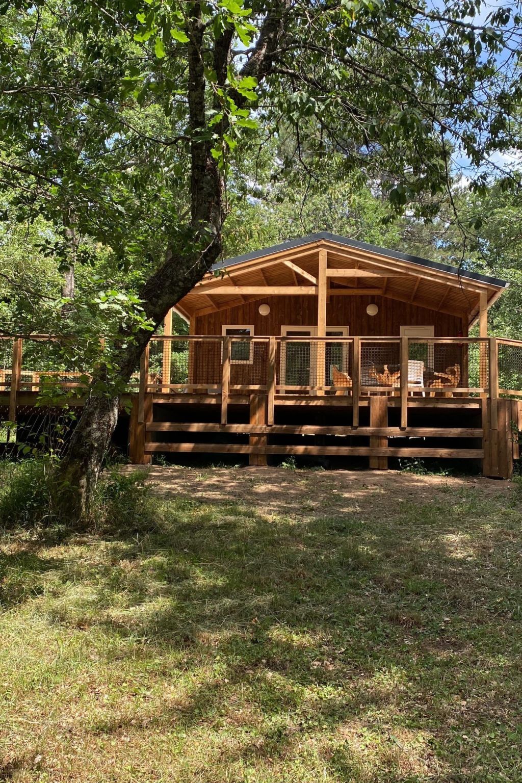 Bungalow Vivario avec jacuzzi privatif et terrasse - Photo 2