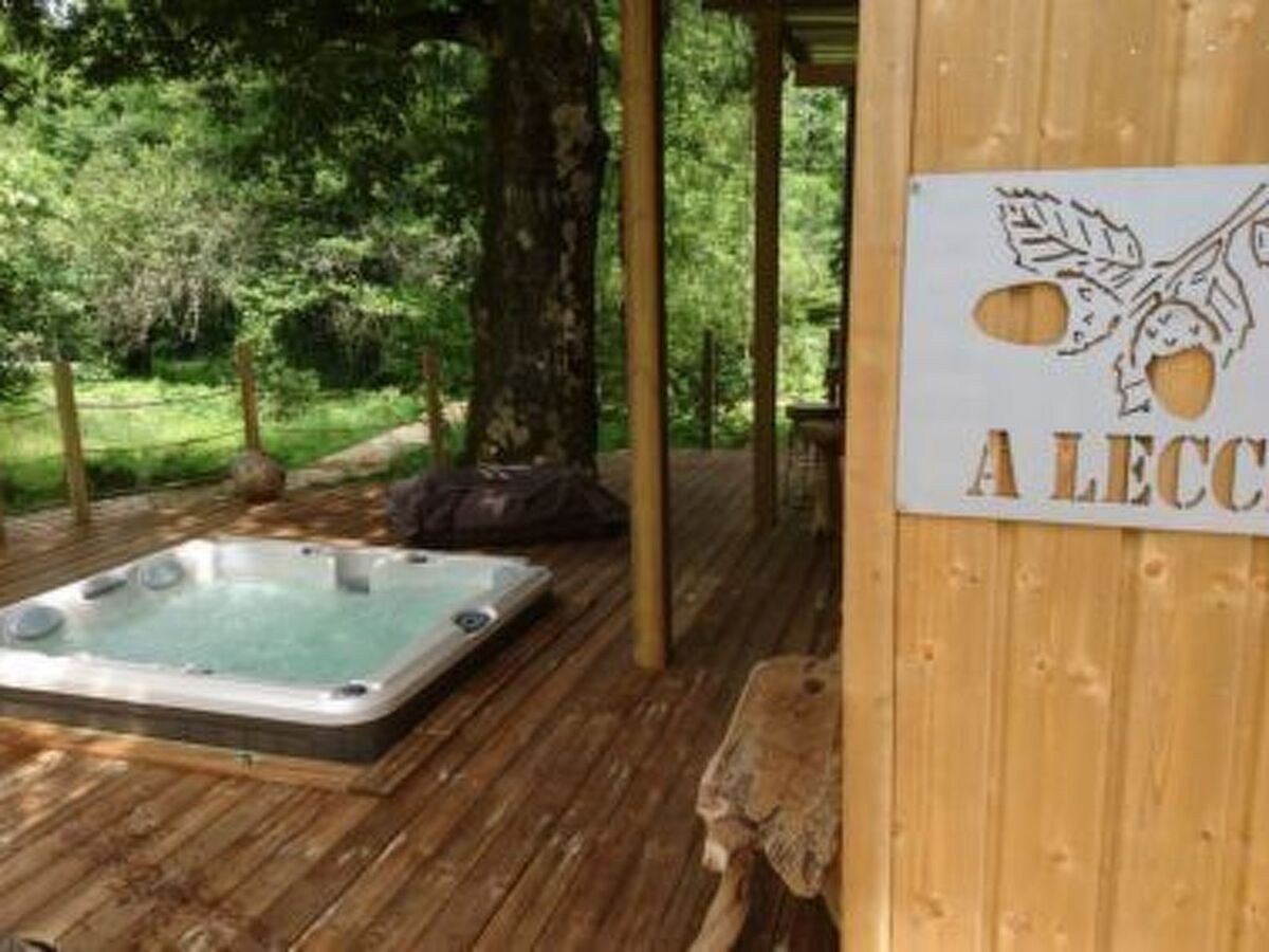 Bungalow Vivario : terrasse 50m², jacuzzi et nature - Photo 5