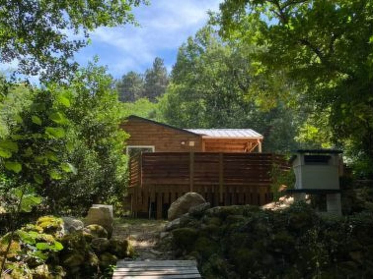 Bungalow avec jacuzzi privatif à Vivario - Photo 13
