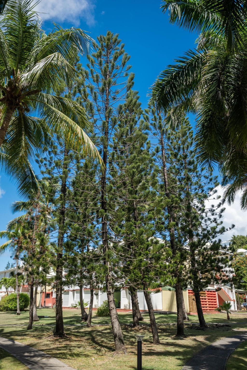 Studio 35 m² avec piscine et plage privée à Saint-François - Photo 26