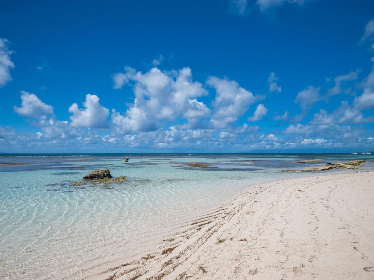 Studio 35 m² avec piscine et plage privée à Saint-François - Photo 32