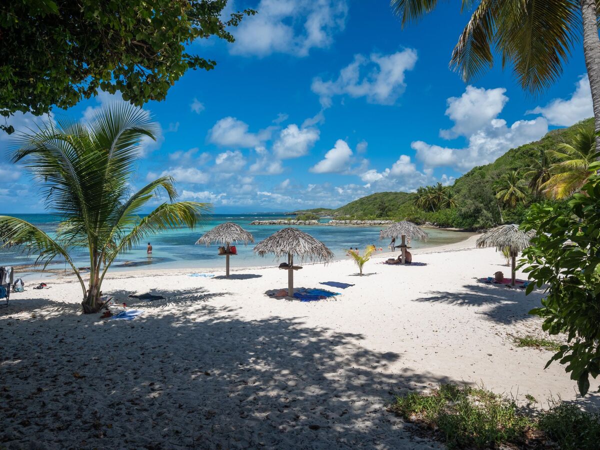 Studio 35 m² avec piscine et plage privée à Saint-François - Photo 35