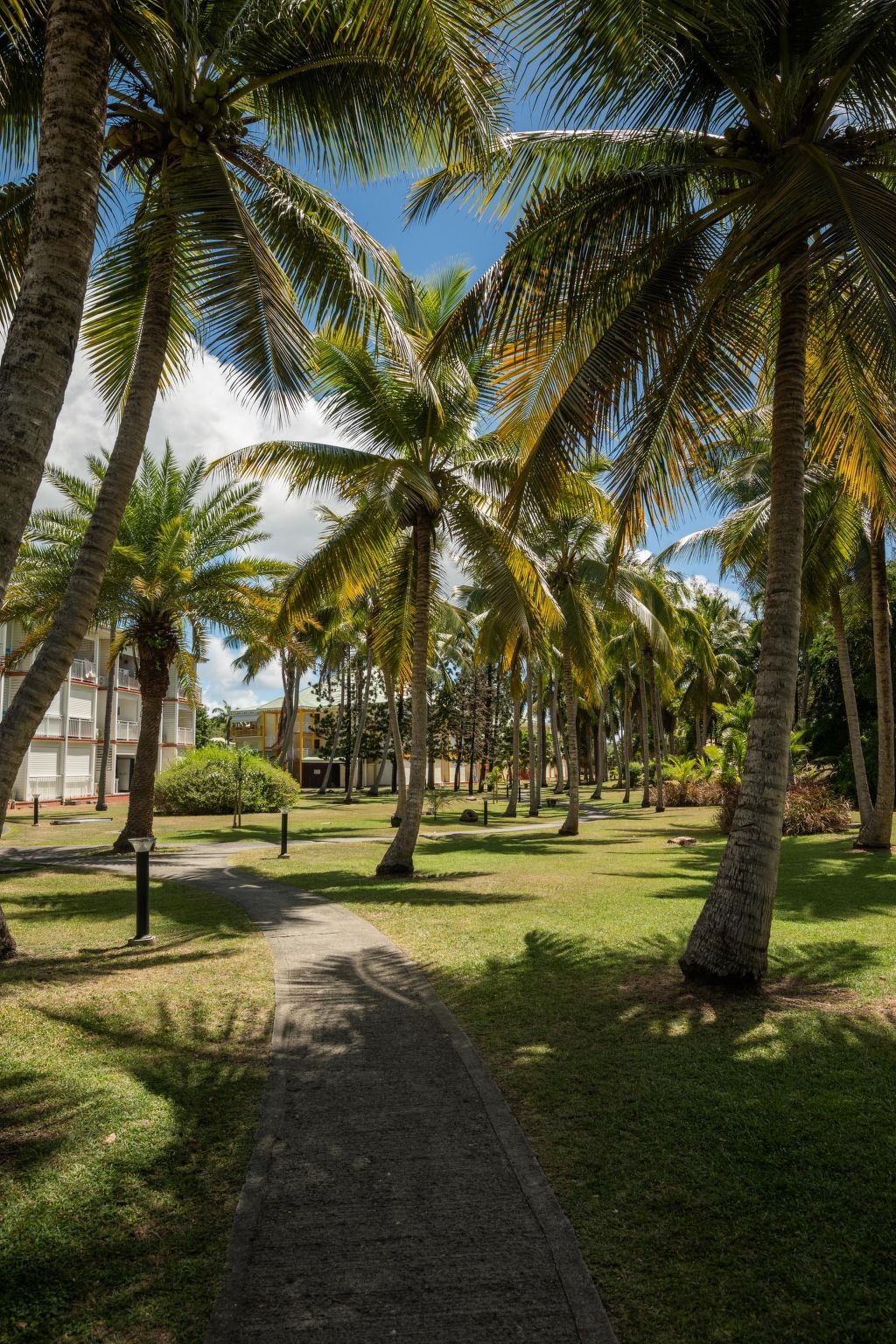 Studio 35 m² avec piscine et plage privée à Saint-François - Photo 36
