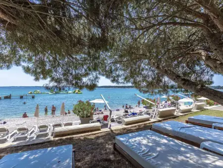 Villa Andris – Piscine privée et jardin à Ližnjan : photo 7