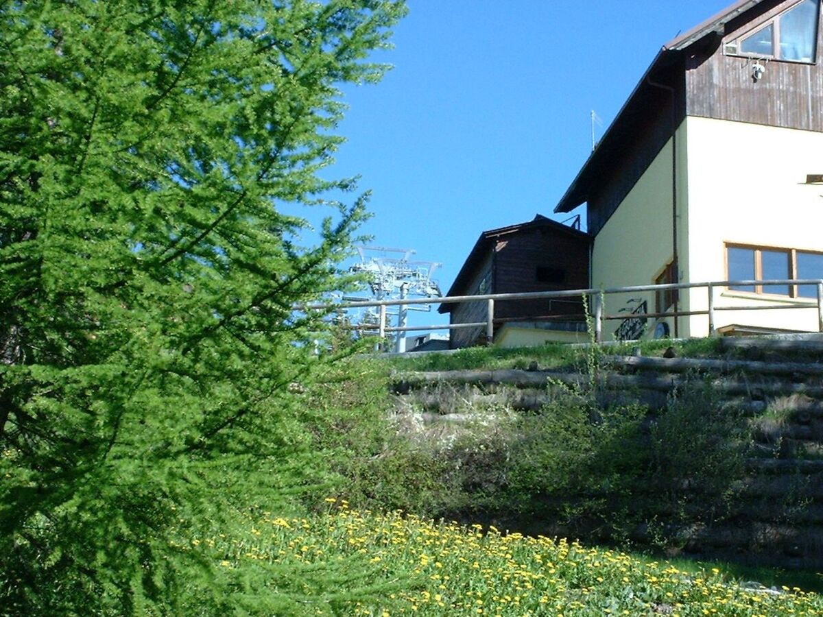 Il Capriolo – Appartement 4 pers. à 50 m des pistes - Photo 11