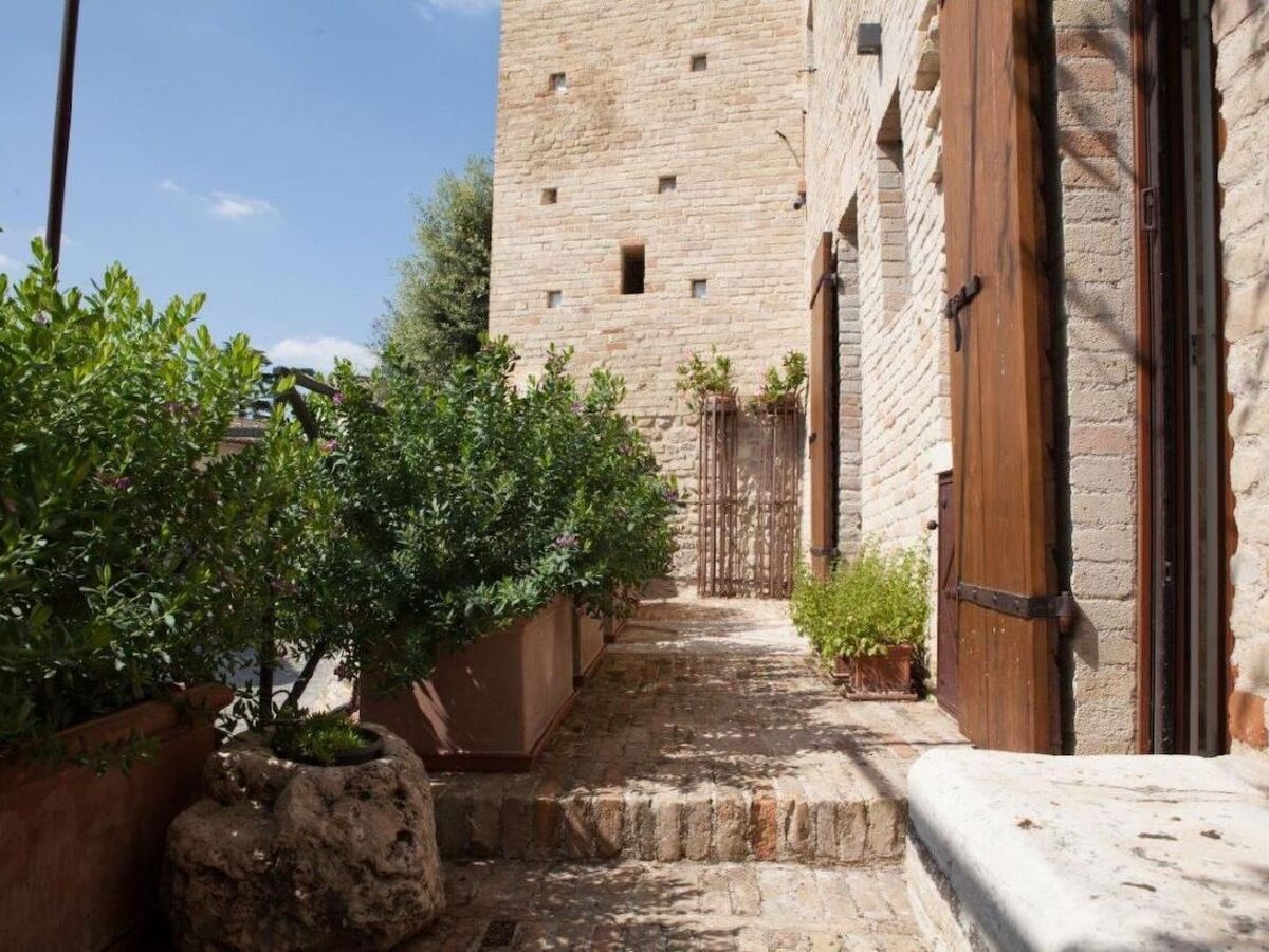 Torre da Bora, tour médiévale du 14e siècle à Magliano di Tenna - Photo 31
