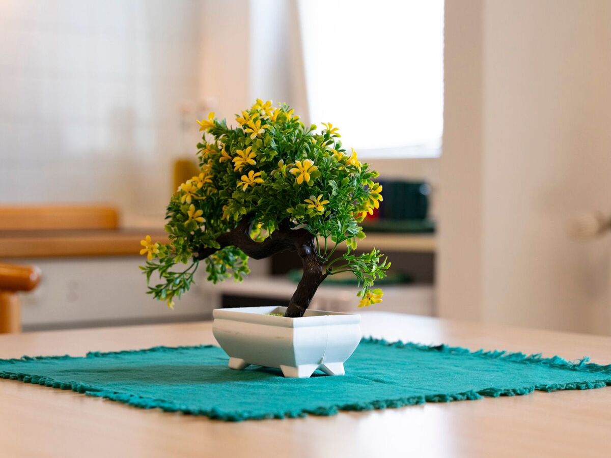 Studio climatisé Der Bonsai à Rapallo avec parking - Photo 13