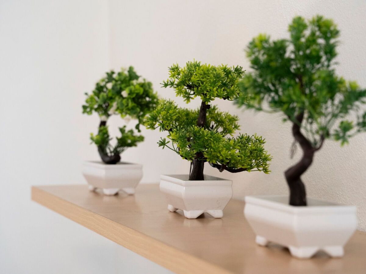 Studio climatisé Der Bonsai à Rapallo avec parking - Photo 24