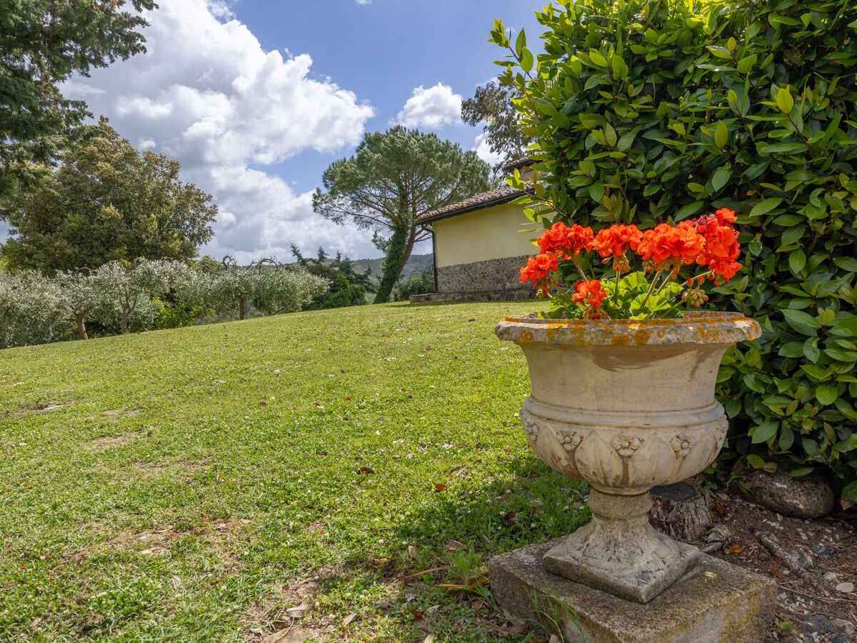 Maison Podere Sant'Antonio à Montecatini Val di Cecina - Photo 94