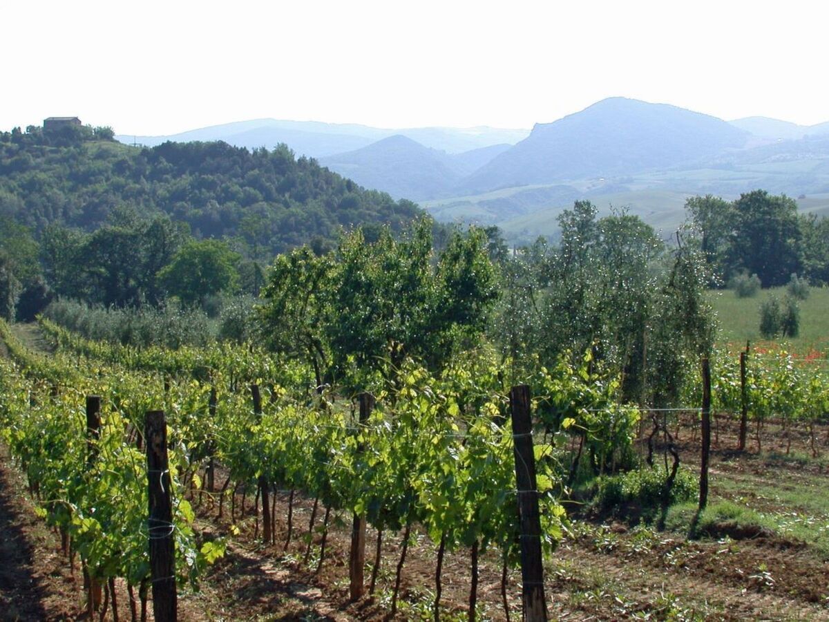 La Cisterna – Appartement 4 pers. à Volterra - Photo 23